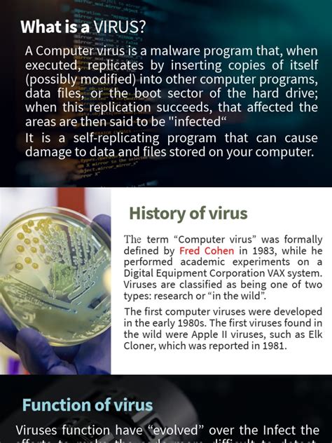 First Computer Virus 的图像结果