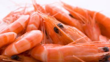 TNAU Agritech Portal :: Sustainable Agriculture