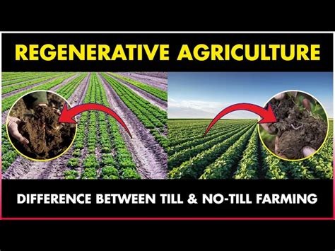 Regenerative Agriculture | Till and No Till Farming