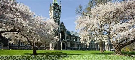 新西兰留学费用一年多少钱？详细解析2023年最新留学费用