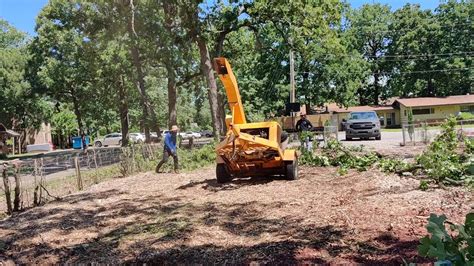 Tree Felling Fails 的图像结果