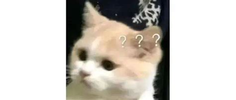 千人计划为什么被屏蔽了