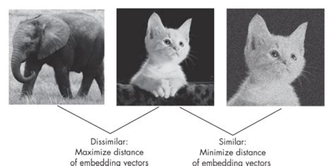 Image result for Contrastive Learning Symbol