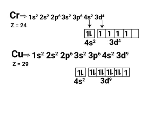 Image result for Python Turtle Round Flower Code