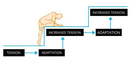 Image result for Progressive Overload Example