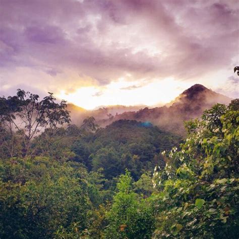 Tarkeshwar Mahadev Temple - Historical Significance