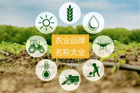 2020中国农产品百强标志性品牌隆重揭晓！_农业