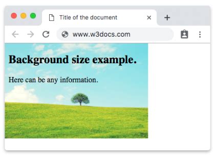 HTML5 Background-Size 的图像结果