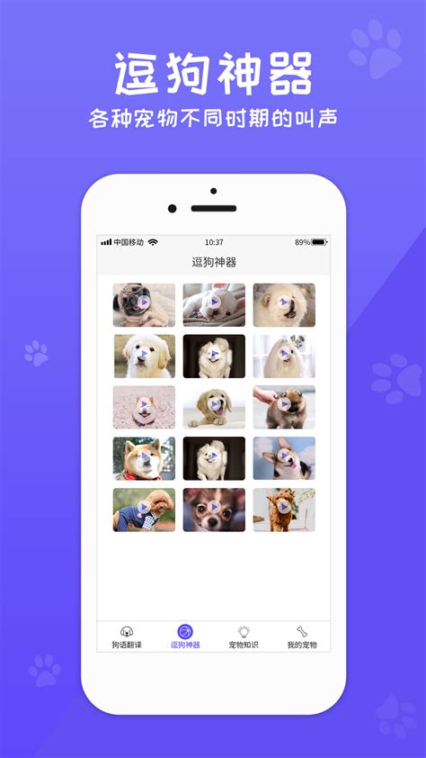 狗语翻译器正版-狗语翻译器下载官方版app2023免费下载安装