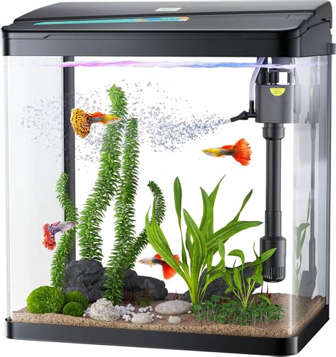 PONDON Betta Fish Tank, 3 Gallon Glass Aquarium, 3 in 1 Fish Tank with ...