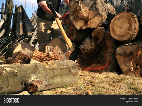 Image result for Lumberjack Root Cutter