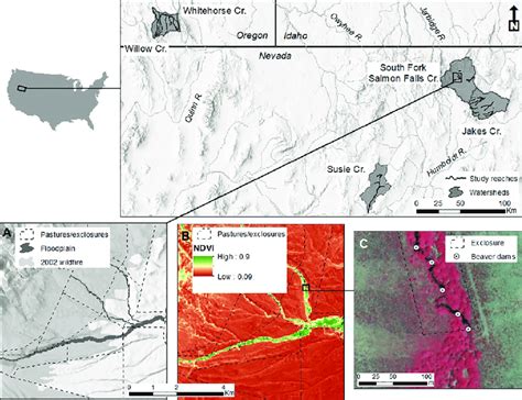 Locator Map 的图像结果