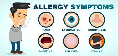Allergies: Why they happen and how to treat them