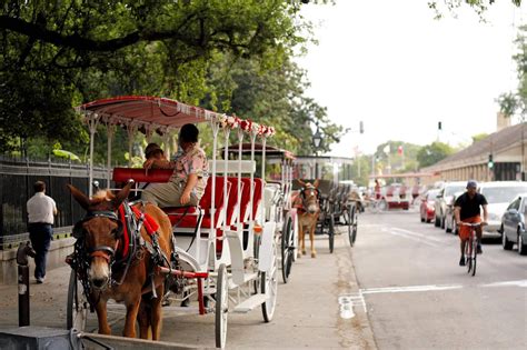 New Orleans Travel Essentials - Useful Information to Help You Start ...