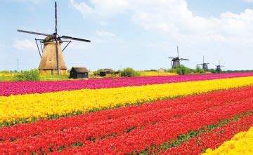 Beautiful 18 Days Bollywood Shooting Spots, Switzerland to Manchester ...