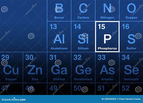 Phosphorus Element on Periodic Table, with Symbol P Stock Vector - Illustration of macronutrient ...