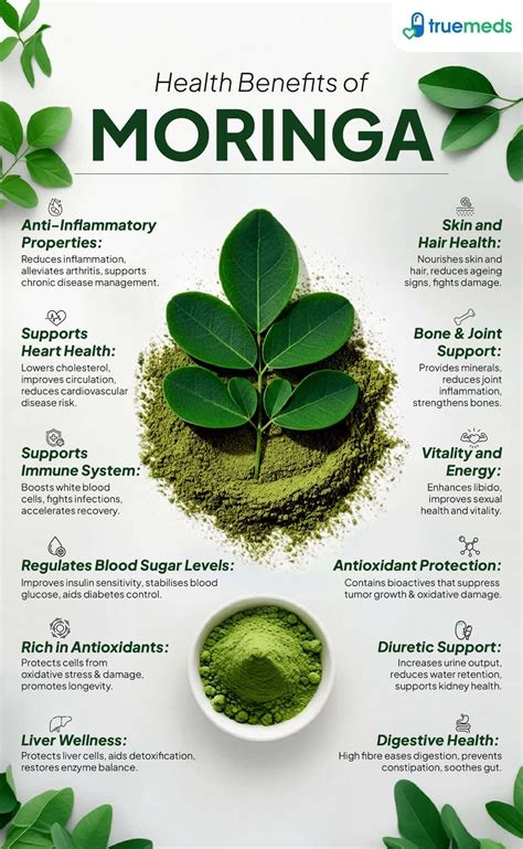Moringa Benefits in Ayurveda: Detox, Immunity Boost & Vitality