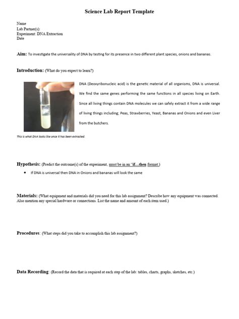 DNA Extraction Lab Report 的图像结果