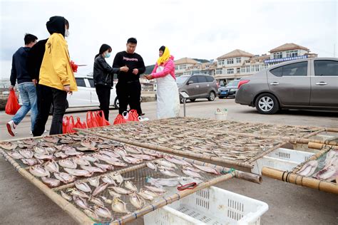 中国最大的渔场浙江舟山渔场,中国第一大渔场舟山渔场地处何处 - 闪电鸟