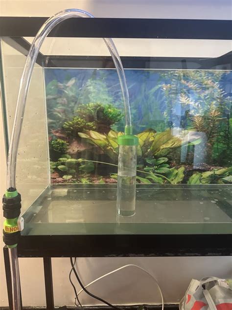 Python Aquarium System 的图像结果