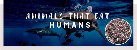 Wild Animals Eating Humans 的图像结果
