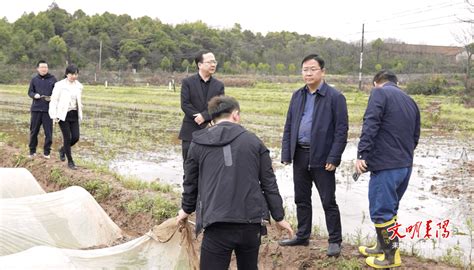 王星皓调研督导春耕备耕和煤矿安全生产工作_育秧_早稻_情况