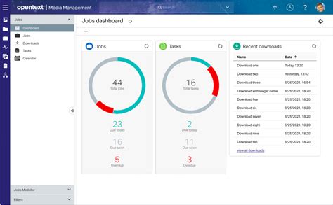 Image result for Data Management System OpenText