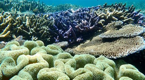 ORPHEUS ISLAND NATIONAL PARK (2025) All You Need to Know BEFORE You Go ...