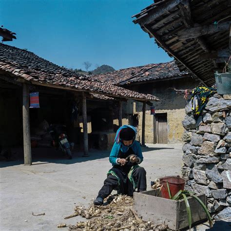 Working Hard Work 的图像结果