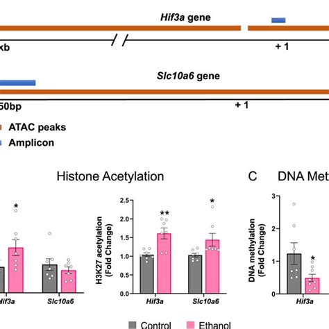 Image result for ATAC-seq Data Analysis