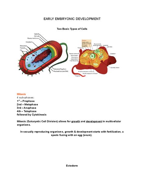 Image result for Evolutionary Development
