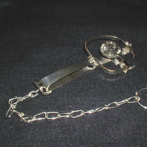 Primitive Spring Trap 的图像结果