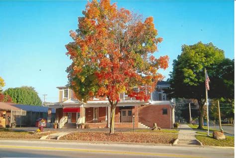 Bringman Clark Shields Funeral Services | Upper Sandusky OH