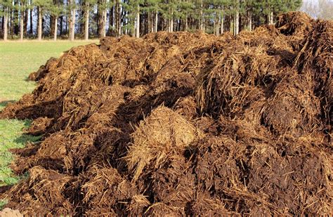 Fertilizer | Definition, Types, Plant Nutrients, Application, & Facts ...