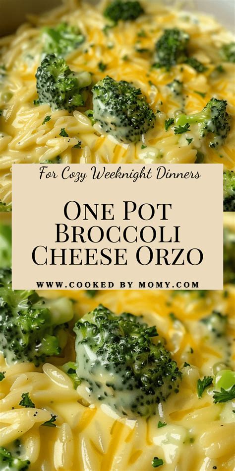 One Pot Broccoli Cheese Orzo Recipe for Cozy Weeknight Dinners | Recipe ...
