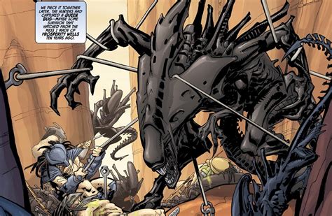 Predator Vs Alien Queen