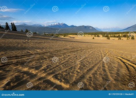 The Smallest Desert of the World at Carcross Stock Photo - Image of scenery, outdoor: 170729130