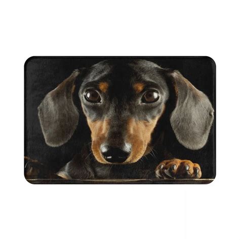 Non-slip Dachshund Floor Mat – Dach Everywhere
