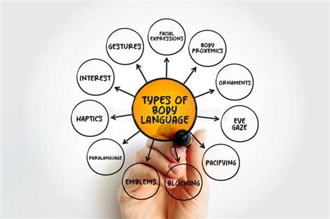 Types Of Body Language 的图像结果