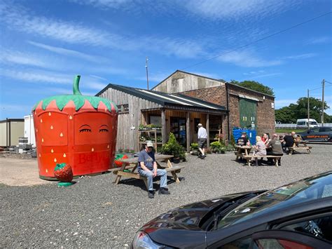 Solve Scotland jigsaw puzzle online with 12 pieces