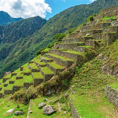 Inca Terrace Farming: Meaning, Functions, and Curiosities