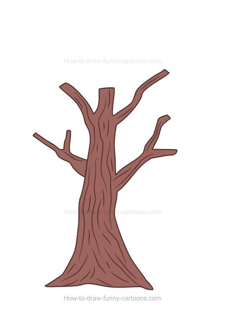Image result for Tree Trunk Drawing