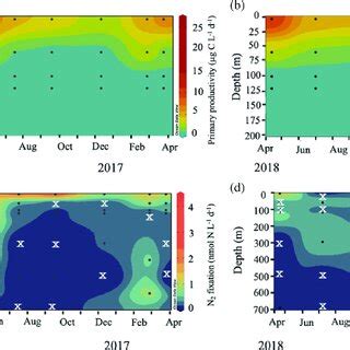 Temporal dynamics of primary productivity (top panels; μg C L À1 d À1 ...