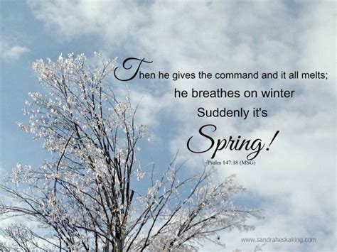 Image result for Spring Hope Reflection