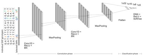 Feature Selection Strategies for Deep Learning-Based Classification in ...