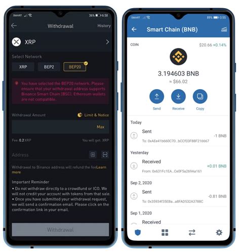 Image result for Smart Chain Wallet