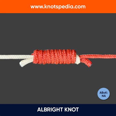 How to Tie a Timber Hitch Knot in 4 EASY Steps