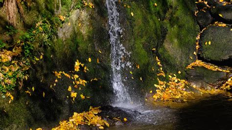 Autumnal Waterfall Tutorial 的图像结果