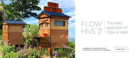 Image result for Flow Hive eBay