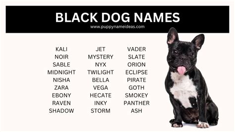 270+ Black Dog Names - Puppy Name Ideas